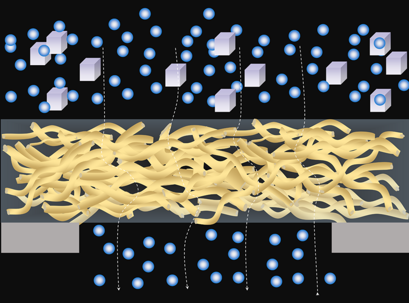 This illustration demonstrates how silk nanofibril membranes (yellow) reject large molecules while allowing small molecules to pass through.