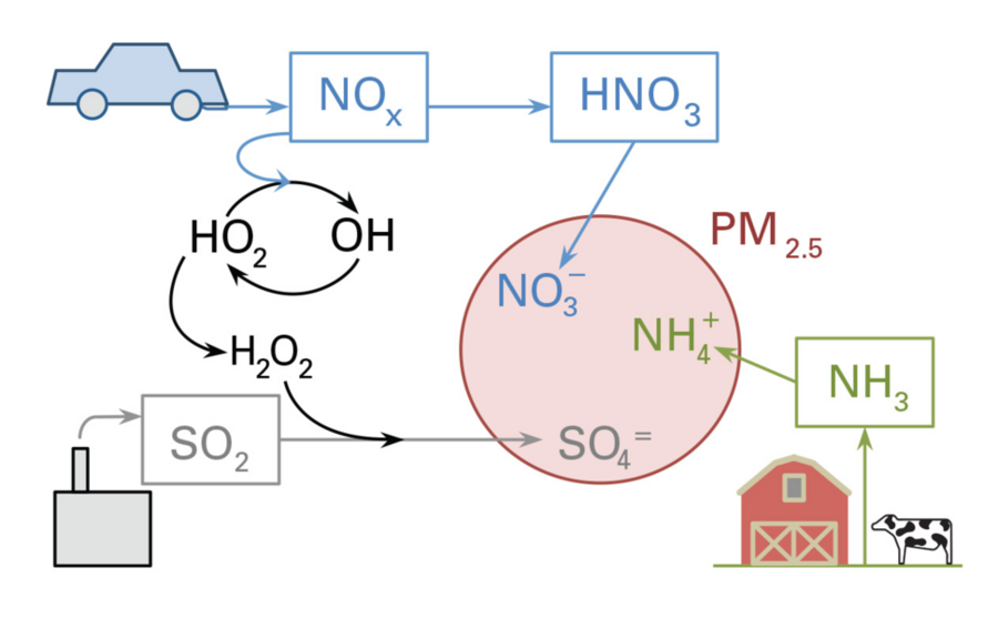 Figure 1: This sketch shows the three major emissions that form inorganic fine airborne particulate matter: nitrogen oxides (NO<sub>x</sub>), largely from vehicles; sulfur dioxide (SO<sub>2</sub>) from power plants and industrial facilities; and ammonia (NH<sub>3</sub>) from agricultural activities. Sunlight and chemical reactions in the atmosphere convert the emissions to new chemical species tha...