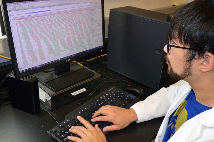 Philip Arevalo, a CEE grad student, studies Vibrionaceae bacteria genomic data for signs of adaptive radiation.