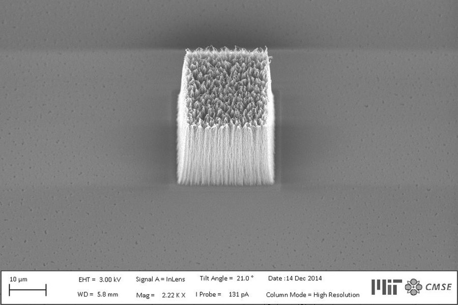 Professor A. John Hart and postdoc Sanha Kim hit upon the perfect material to create their highly detailed stamp: carbon nanotubes — strong, microscopic sheets of carbon atoms, arranged in cylinders. 