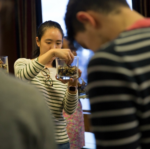MIT students participate in the Plants for the People event.