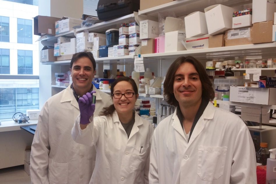 (Left to right): Pedro Guimaraes, Amanda Chung, and Michael Mitchell. 
