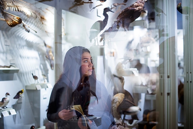 On a field trip to the Harvard Museum of Natural History, Veronica Padron, an MIT senior in the Department of Aeronautics and Astronautics, noted: “MIT likes us to take humanities classes. It balances out.” 
