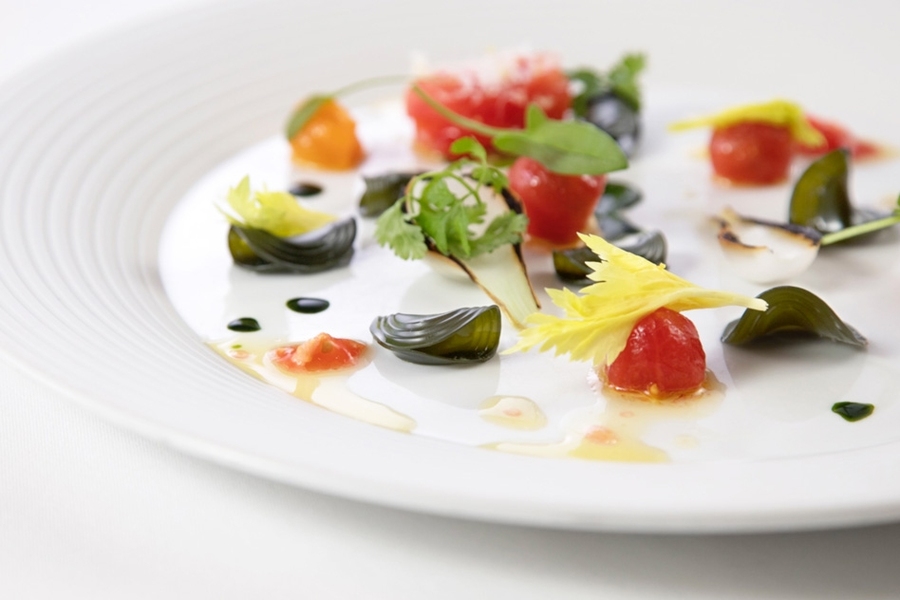 Phytoplankton pasta salad with heirloom tomatoes and wild sorrel, by Matthew Delisle
