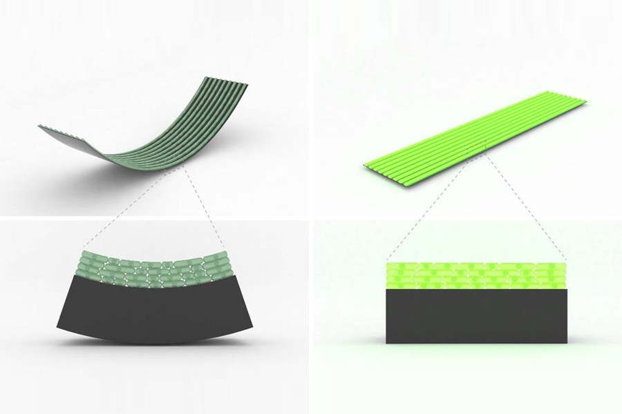 This illustration shows reversible bending behavior induced by the moisture gradient for a bilayer biohybrid fabric.