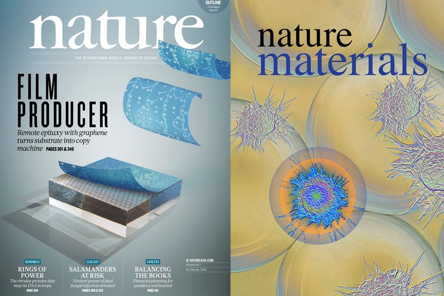 Felice Frankel, a research scientist in MIT’s Center for Materials Science and Engineering, has helped to produce images that just in the last few months have graced the covers of Nature, Nature Materials, and Environmental Science, among others.
