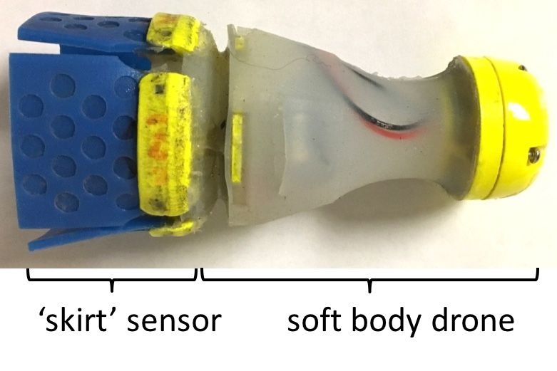 The small, rubbery robotic device can be inserted into the water system through any fire hydrant. It then moves passively with the flow, logging its position as it goes. It detects even small variations in pressure by sensing the pull at the edges of its soft rubber skirt, which fills the diameter of of the pipe. 
