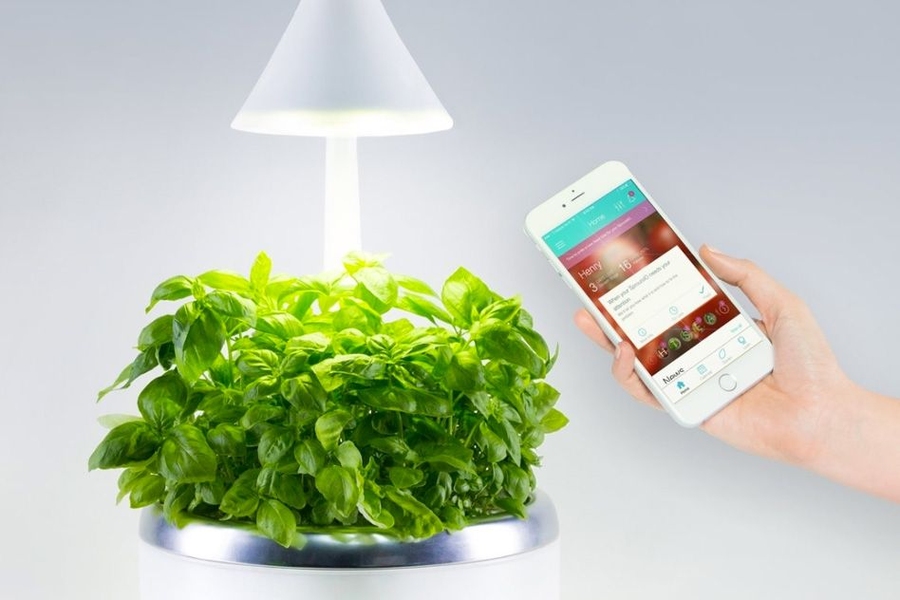 Philosophically, the startup’s aim is to power a “personal produce” movement, Jennifer Farah SM ’13 says, in which more people grow their own food, encouraging healthier eating and cutting down on waste. 
