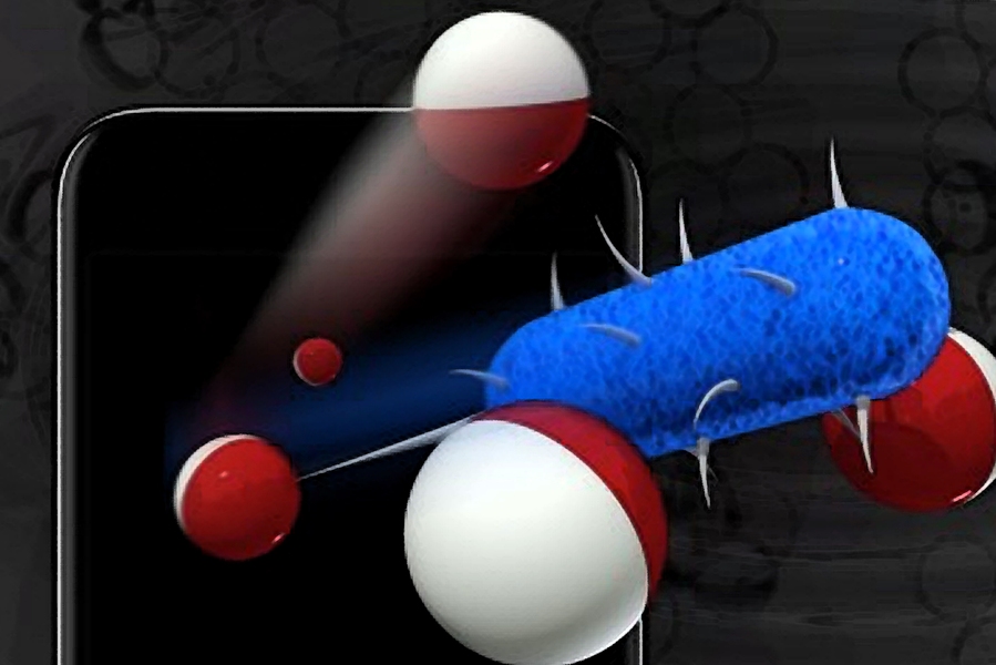 J-WAFS Solutions funding will support ongoing efforts by Timothy Swager, the John D. McArthur Professor of Chemistry, and a team of researchers led by MIT postdoc Myles Herbert to use sensory Janus particles to detect foodborne pathogens with high selectivity, sensitivity, and speed. Their smartphone-based device has the potential to increase the accessibility of food safety testing throughout the...