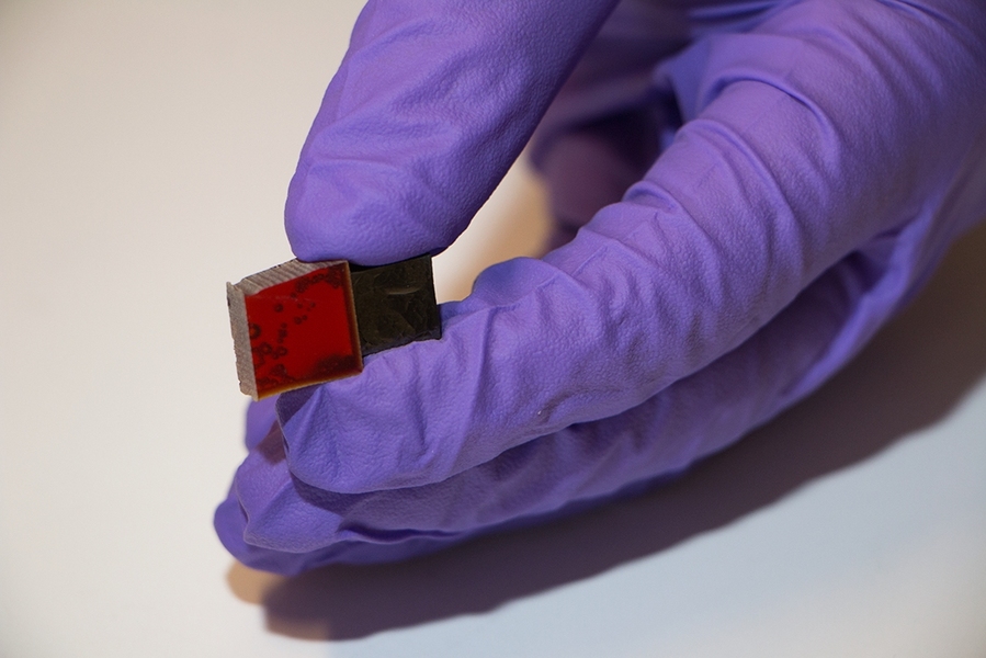 MIT postdoc Itai Stein holds samples of cured phenolic resin and glassy carbon. 