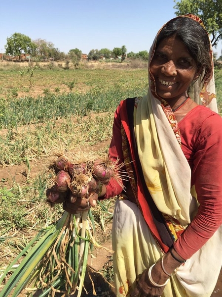 A solar pump owner in Gujarat, India, demonstrates her solar-grown onions.