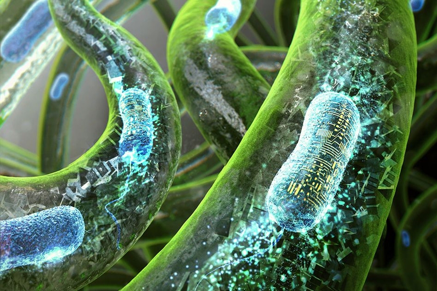 MIT engineers have devised a 3-D printing technique that uses a new kind of ink made from genetically programmed living cells. 
