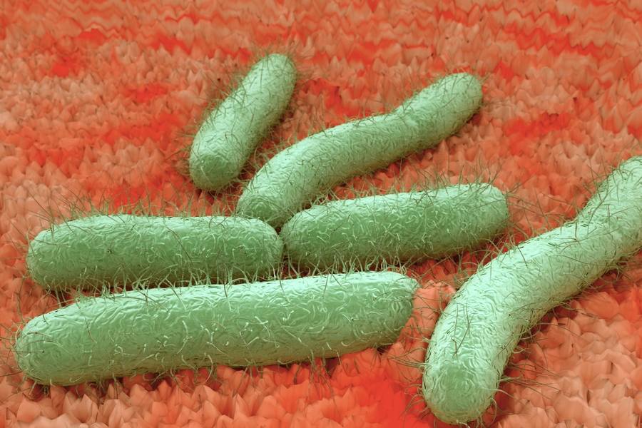 The study of microbiology permeates so many diverse disciplines that no single department at MIT could house them all.