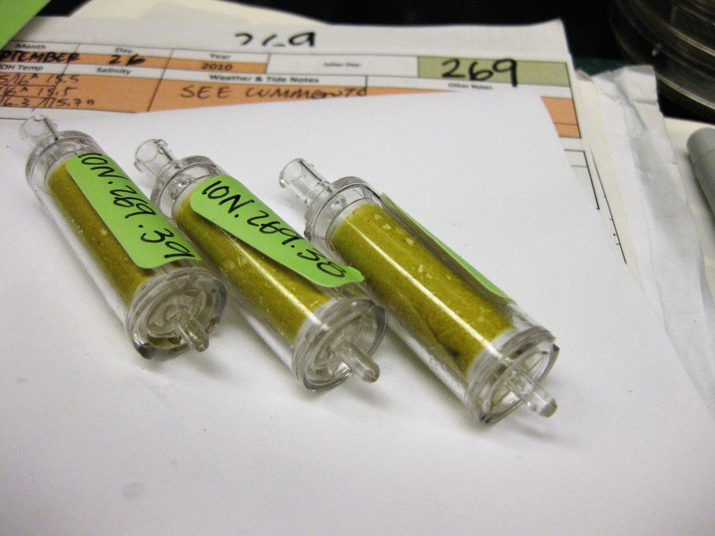 Samples of planktonic communities were captured on filters for DNA extraction.
