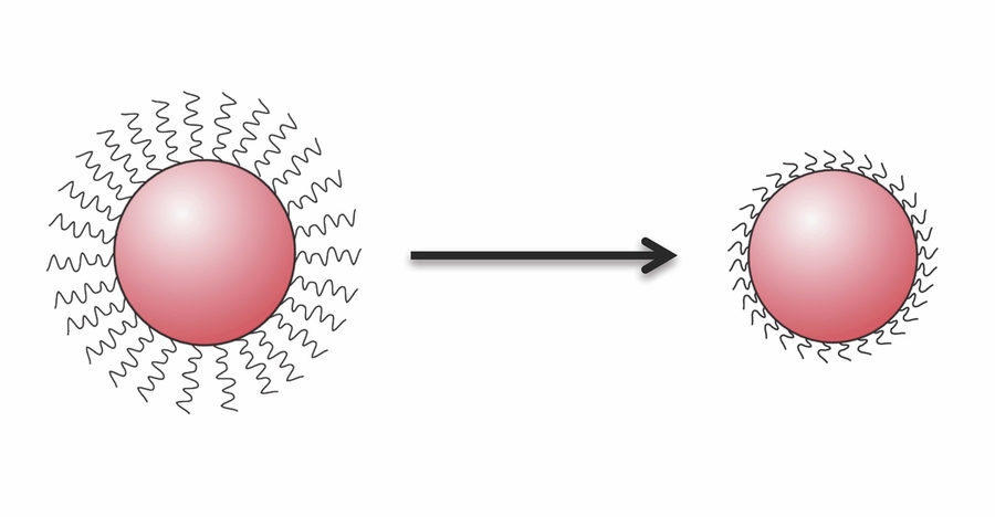 As shown in these schematics, at the center of a quantum dot is a core of a semiconducting material. Radiating outward from that core are arms, or ligands, of an organic material. The ligands keep the quantum dots in solution from sticking together, and they determine the spacing between the dots in the solid product. Replacing the long ligands on the left with the short ones on the right allows t...