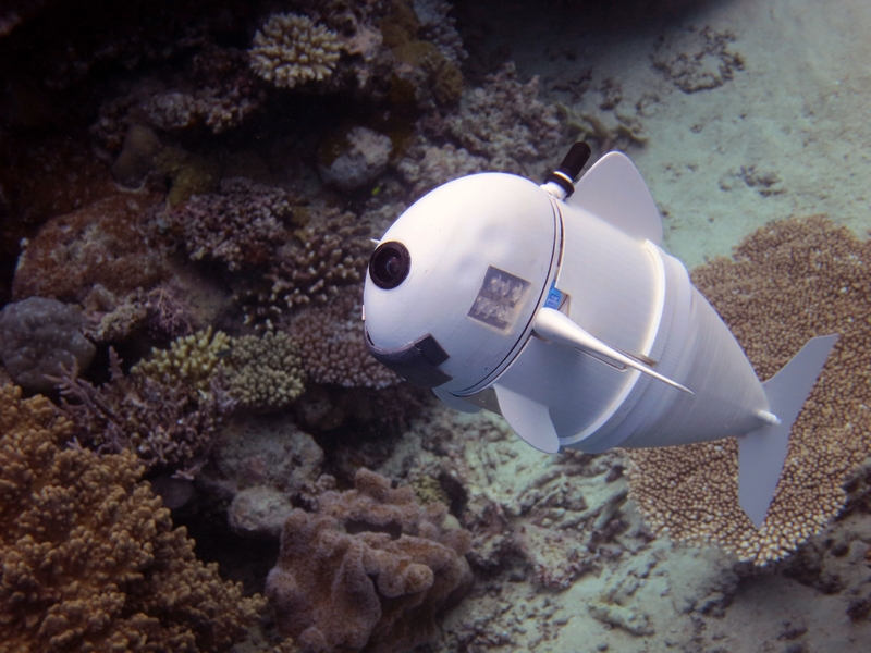 Using its undulating tail and a unique ability to control its own buoyancy, SoFi can swim in a straight line, turn, or dive up or down. 