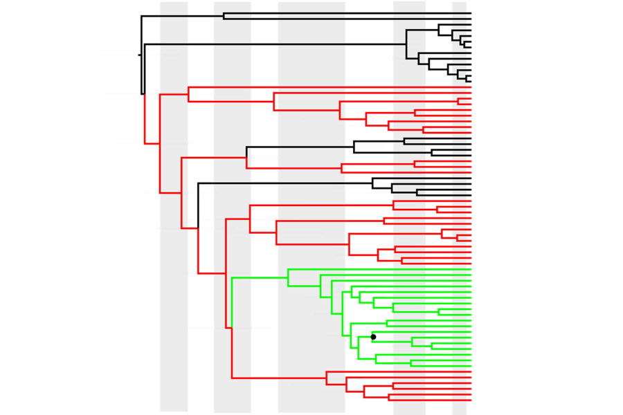 This chart visualizes a molecular clock analysis of methanogens (red), including gene transfer (green).