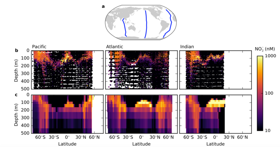An ecosystem model shows the concentrations of nitrite by depth (vertical profile) across three ocean transects.
