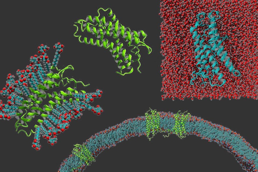 Clockwise from left: a g-protein coupled receptor in detergent, the protein on its own, a g-protein coupled receptor that has been made water soluble, and g-protein coupled receptors embedded in a membrane.