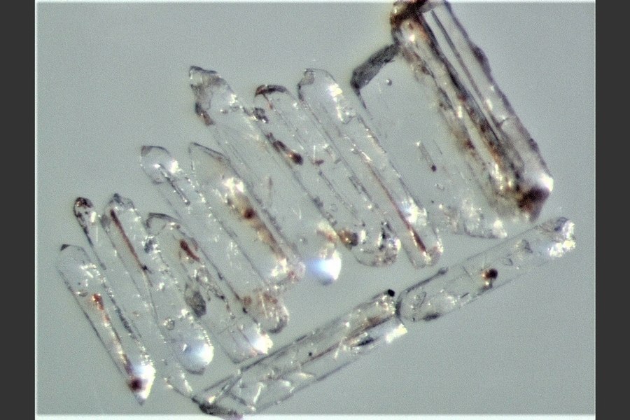 Microscope image of zircon crystals separated for U-Pb isotopic dating from the latest Permian ash bed at Penglaitan. 