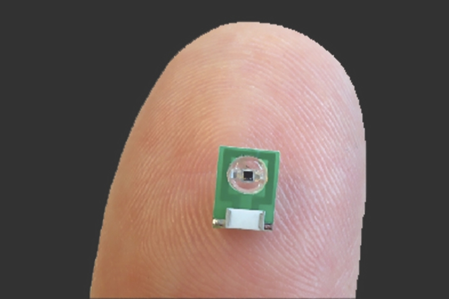 The new sensor can be implanted in the brain to allow scientists to monitor electrical activity or light emitted by luminescent proteins.