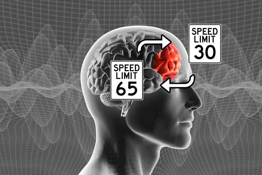 Neural representations of task rules are maintained in the prefrontal cortex, the part of the brain responsible for planning action.