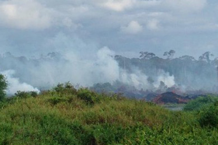 Burning peatlands in Indonesia