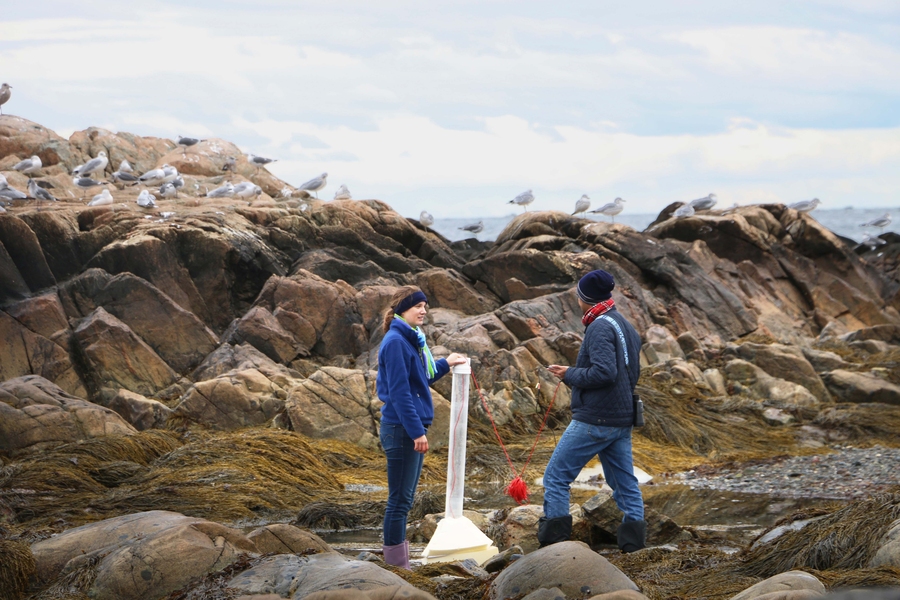 Mechanical engineering alumna Jorlyn Le Garrec '17 uses a hydrophone to measure the sounds of a rocky shore community.