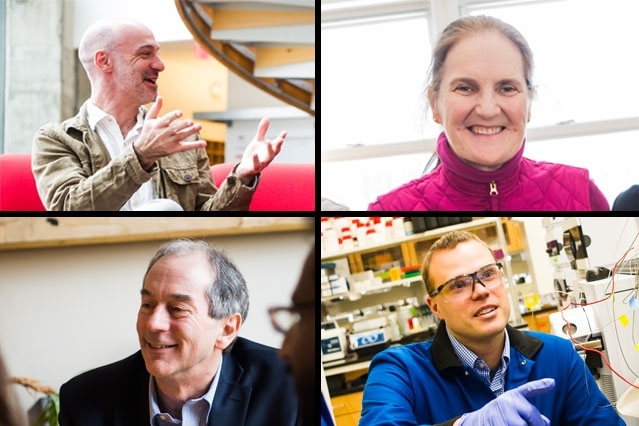 Clockwise from top left: Agustin Rayo, Susan Murcott, Bradley Olsen, and John Lienhard
