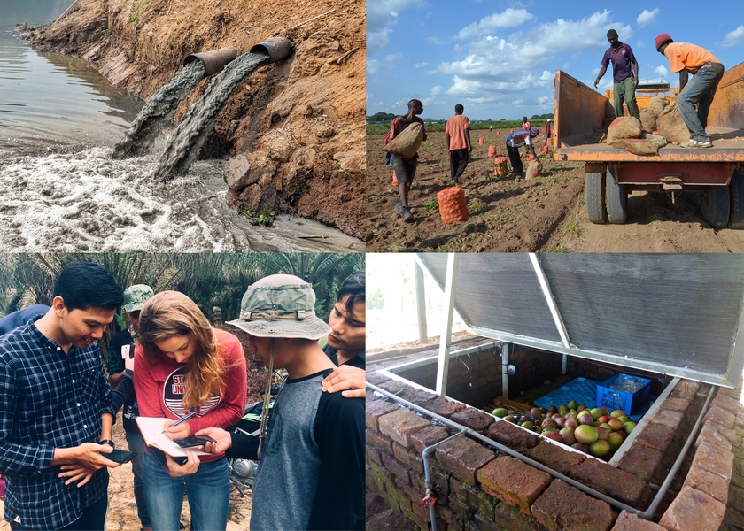 Agricultural productivity technologies for small-holder farmers; sustainable supply chain interventions in the palm oil industry; interventions that can provide clean water for cities and surrounding ecosystems — these are just a few of the research topics that grantees are pursuing, supported by the Abdul Latif Jameel Water and Food Systems Lab (J-WAFS) at MIT.