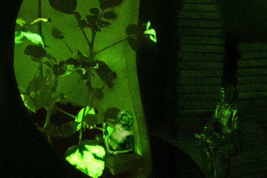 Glowing nanobionic watercress plants illuminate the Plant Properties Reading Room.