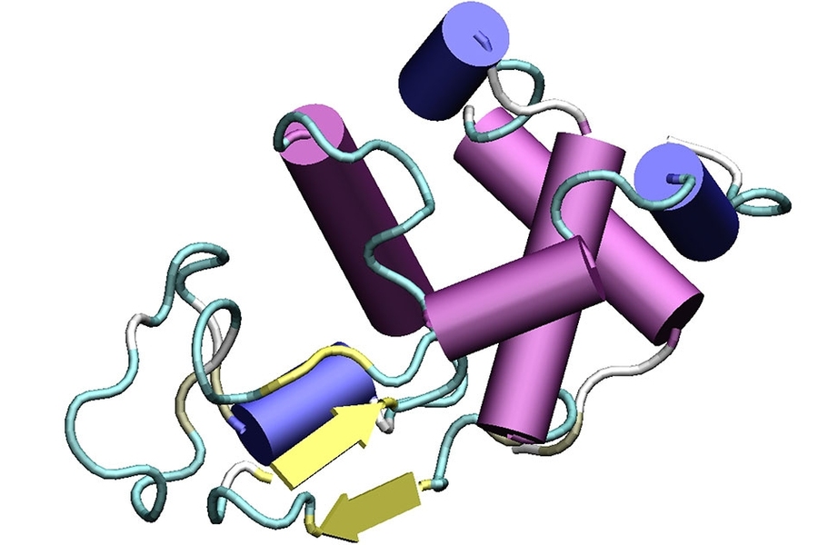 Molecular diagram depicts the structure of lysozyme, one of the proteins used in the MIT team’s system for converting protein structure into music. 