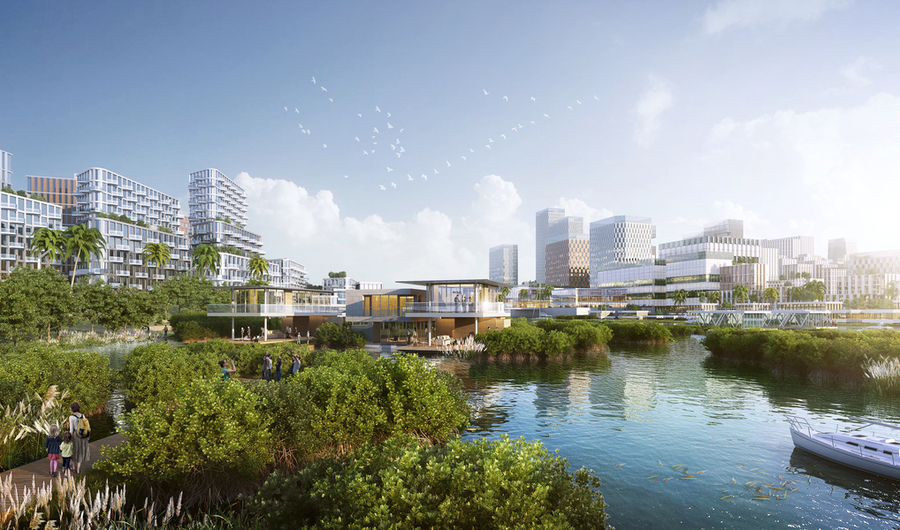 Mangroves will protect the shoreline from waves, retain soil, support biodiversity, and help clean the water. 