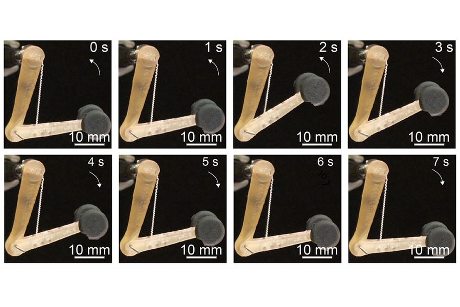 The fibers developed by the MIT team can lift 650 times their own weight, and might be used to control robotic or prosthetic limbs.