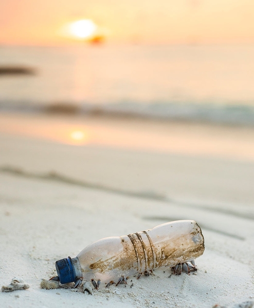 One of the most synthesized plastics, PET — found in plastic bottles — exhibits an extremely low degradation rate and its production is highly dependent on petroleum feedstocks. New research on the biodegradation of plastics will be funded by a MIT Energy Initiative Seed Fund. 