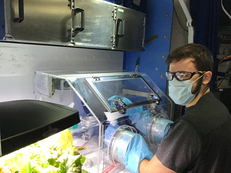 Barret Schlegelmilch conducts an initial analysis of simulated Phobos samples in the habitat's glovebox. 