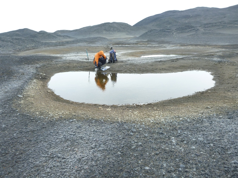 Marc Shallenberg samples from a pond.