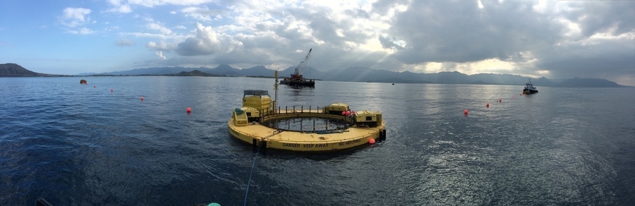 Deployment of the Fred Olsen Ltd. “Lifesaver” Wave Energy Conversion to the Navy’s Wave Energy Test Site in the waters off of Windward Oahu, Hawaii. 