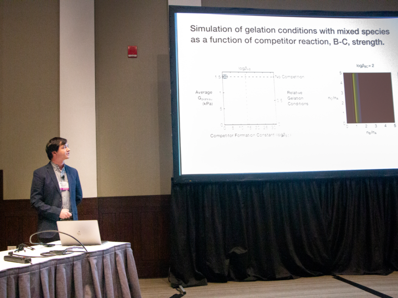 MIT graduate student Seth Cazzell presents his work on enabling reversible hydrogel formation in a wider range of metal concentrations by controlling pH at the 2019 Materials Research Society fall meeting in Boston.