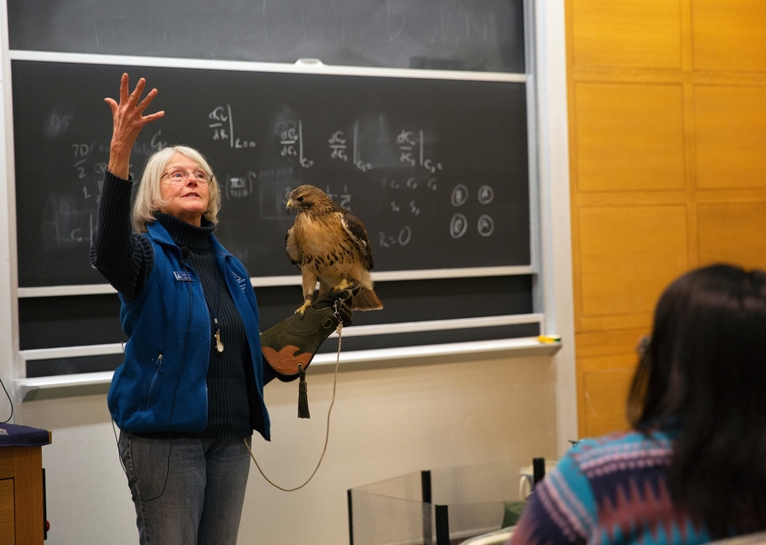 A teacher naturalist from Drumlin Farm introduces members of the chemical engineering department to a red-tailed hawk.