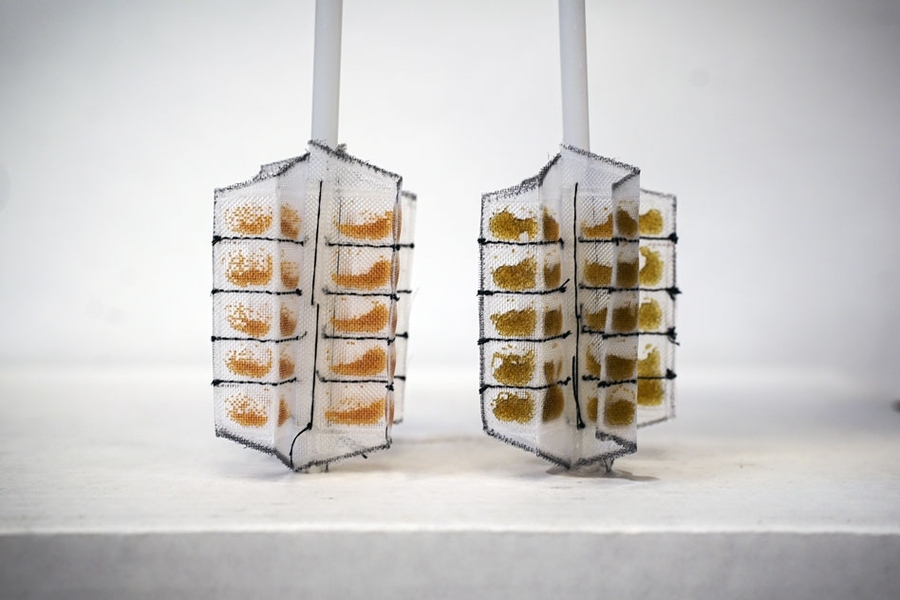 A look at the MIT team’s new water monitoring device, before (left) and after (right) dipping in metal-contaminated water.