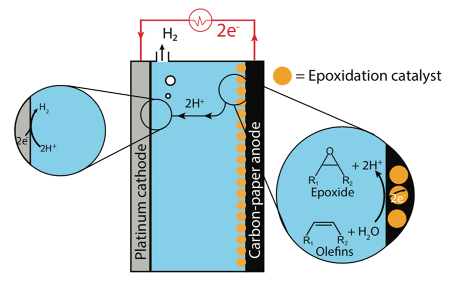 Figure 4: Schematic diagram of electrochemical cell and reaction process. This diagram shows the electrochemical cell the researchers designed to explore the conversion of water and an olefin (here, cyclooctene) to an epoxide and hydrogen gas. Key to the conversion are nanoparticles of a catalyst — shown in yellow — that facilitate the reaction under ambient conditions.