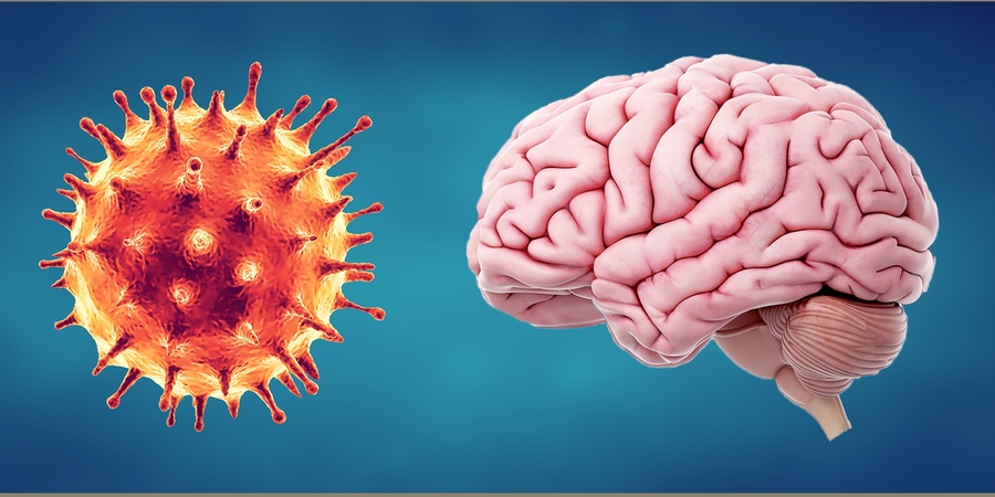 Mounting evidence suggests that the SARS-CoV-2 virus affects the brain, as well as the lungs.