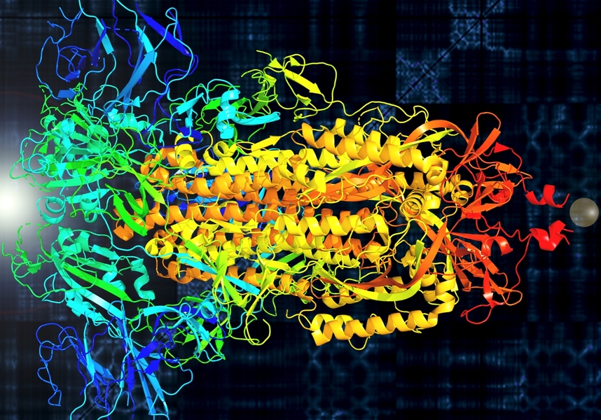 MIT Professor Markus Buehler designs new proteins with the help of artificial intelligence. He recently translated the spike protein of the novel coronavirus (SARS-Cov-2) into sound to visualize its vibrational properties, as seen here, which could help in finding ways to stop the virus. Primary colors represent the spike’s three protein chains.