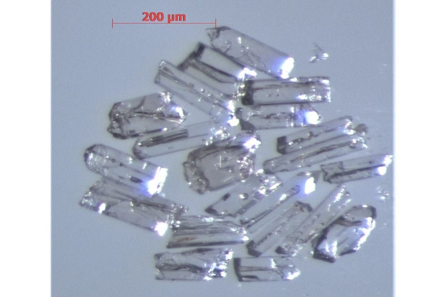 Microscopic crystals of the uranium-bearing mineral zircon were separated from the rock samples and analyzed by the U-Pb isotopic technique at the MIT Isotope Lab. These zircons yielded a precise age of 221.82 ± 0.10 Ma for the upper Ischigualasto Formation.