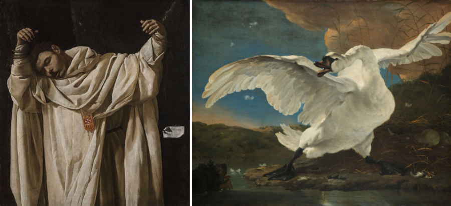 A machine learning system developed at MIT was inspired by an exhibit in Amsterdam's Rijksmuseum that featured the unlikely but similar pairing of Francisco de Zurbarán’s "The Martyrdom of Saint Serapion" (left) and Jan Asselijn’s "The Threatened Swan."