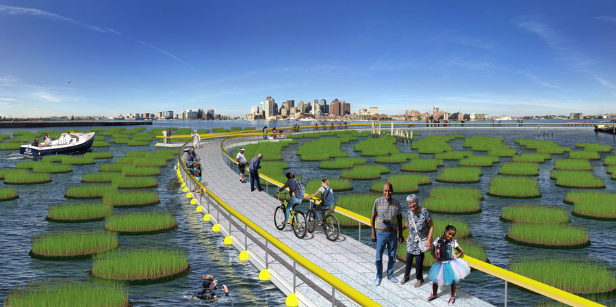 People walk on a long floating bridge surrounded by circular tufts of green biomatter.