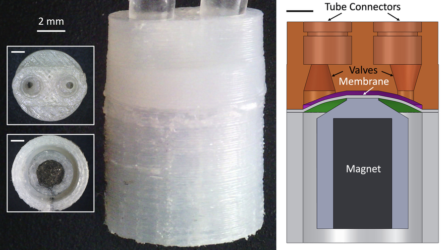 Pumps showing in different views: from the top, bottom, side, and a cross section