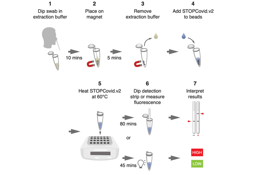 process for STOPCovid test