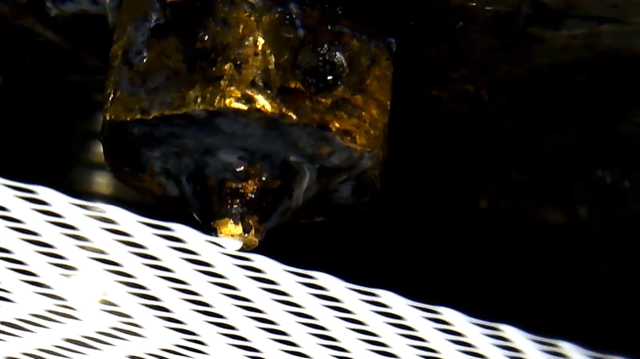 A close up of a 3D printer nozzle during printing